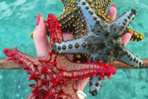 Zanzibar: Safari blue tour