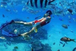 Zanzibar: Safari blue tour