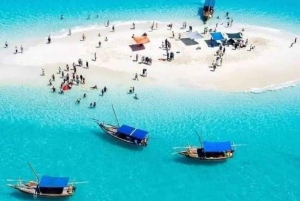 Zanzibar: Safari blue tour