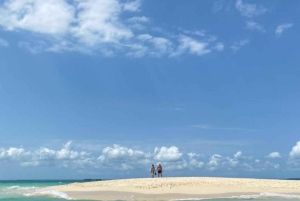 Zanzibar: Safari blue tour