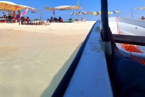 Zanzibar: Safari blue tour