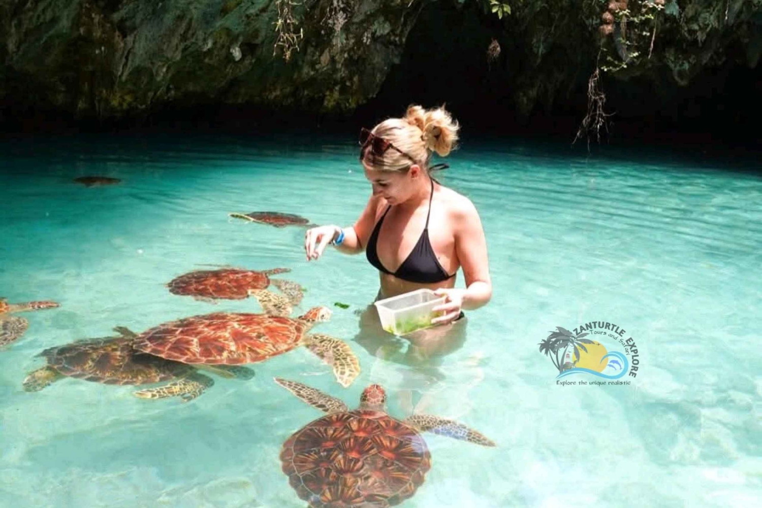 Zanzibar: Salaam Cave Aquarium og byvandring i Stone Town