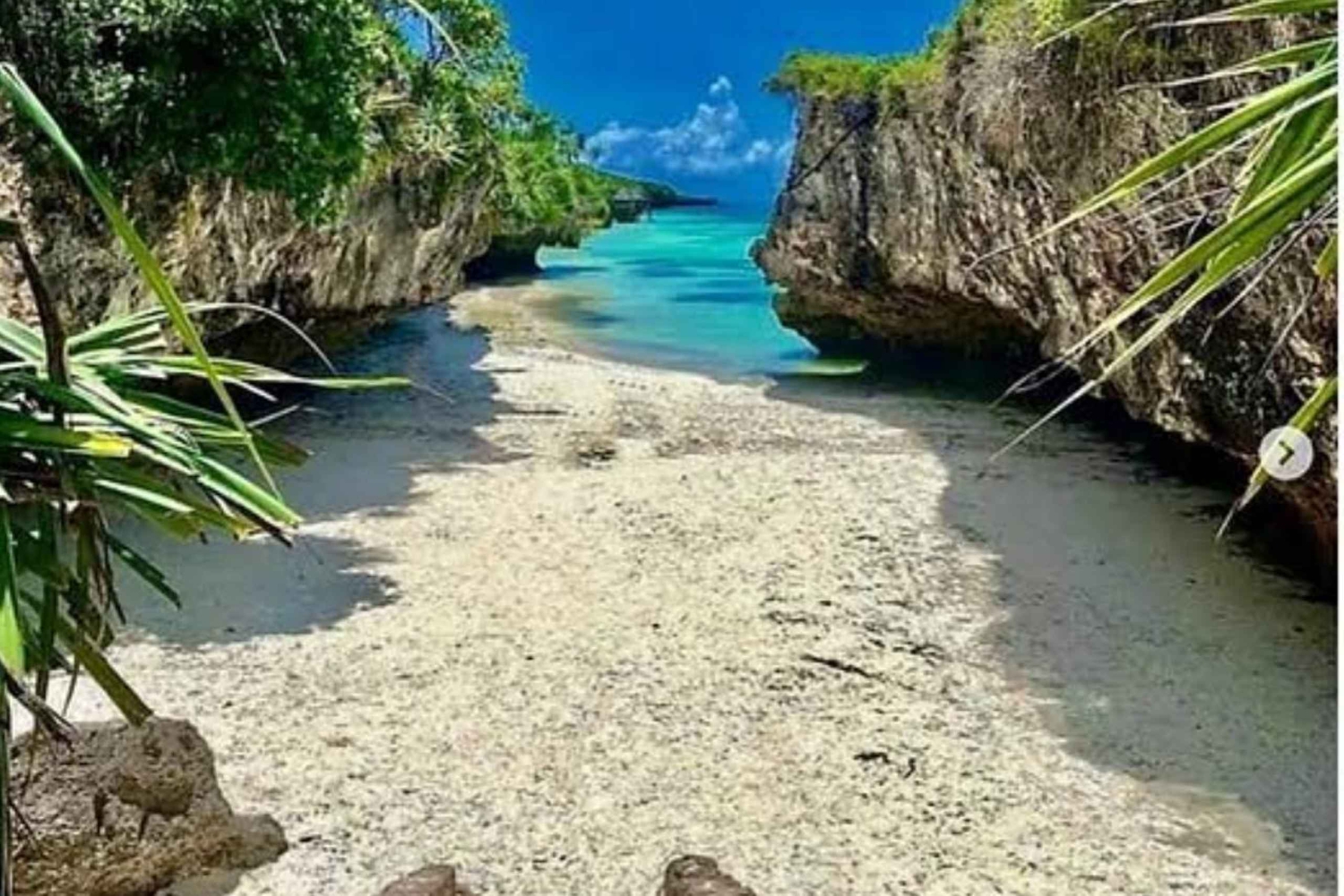 Zanzibar: Salaam Cave, Butterfly Center & Mtende Beach