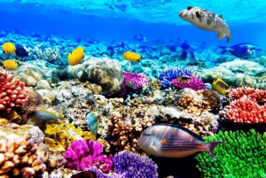 Zanzíbar: excursión a la cueva de Salaam, la cueva de Kuza y la laguna azul.