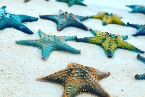 Zanzíbar: excursión a la cueva de Salaam, la cueva de Kuza y la laguna azul.