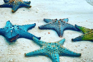 Zanzíbar: excursión a la cueva de Salaam, la cueva de Kuza y la laguna azul.