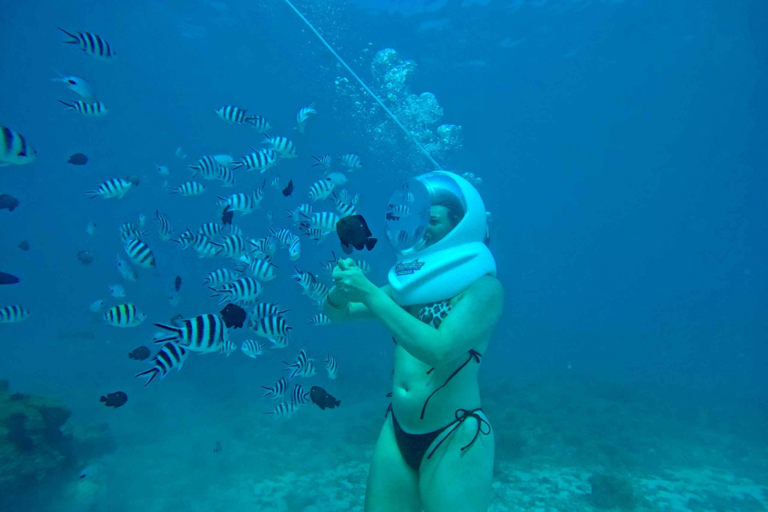 Подводное плавание на Занзибаре, плавание не требуется