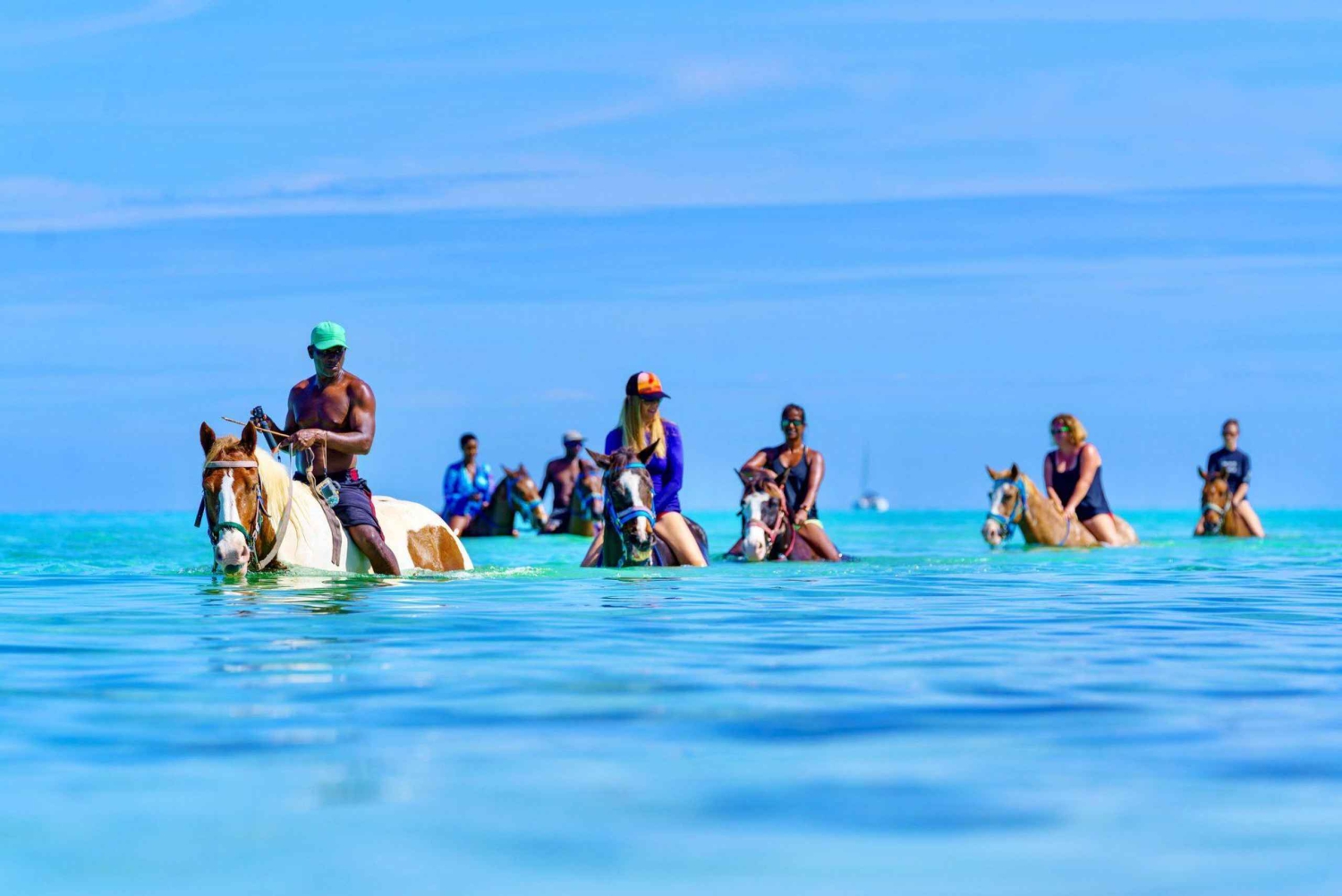 Zanzibar Signature Adventure – Dolphins, Turtles & Horses