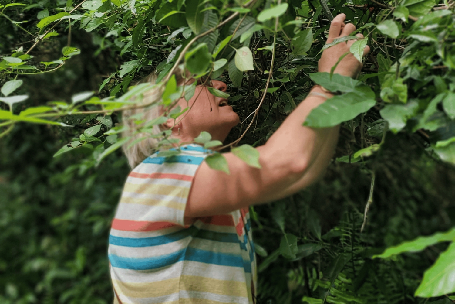 Zanzíbar: tour guiado a pie por una granja de especias con almuerzo incluido.