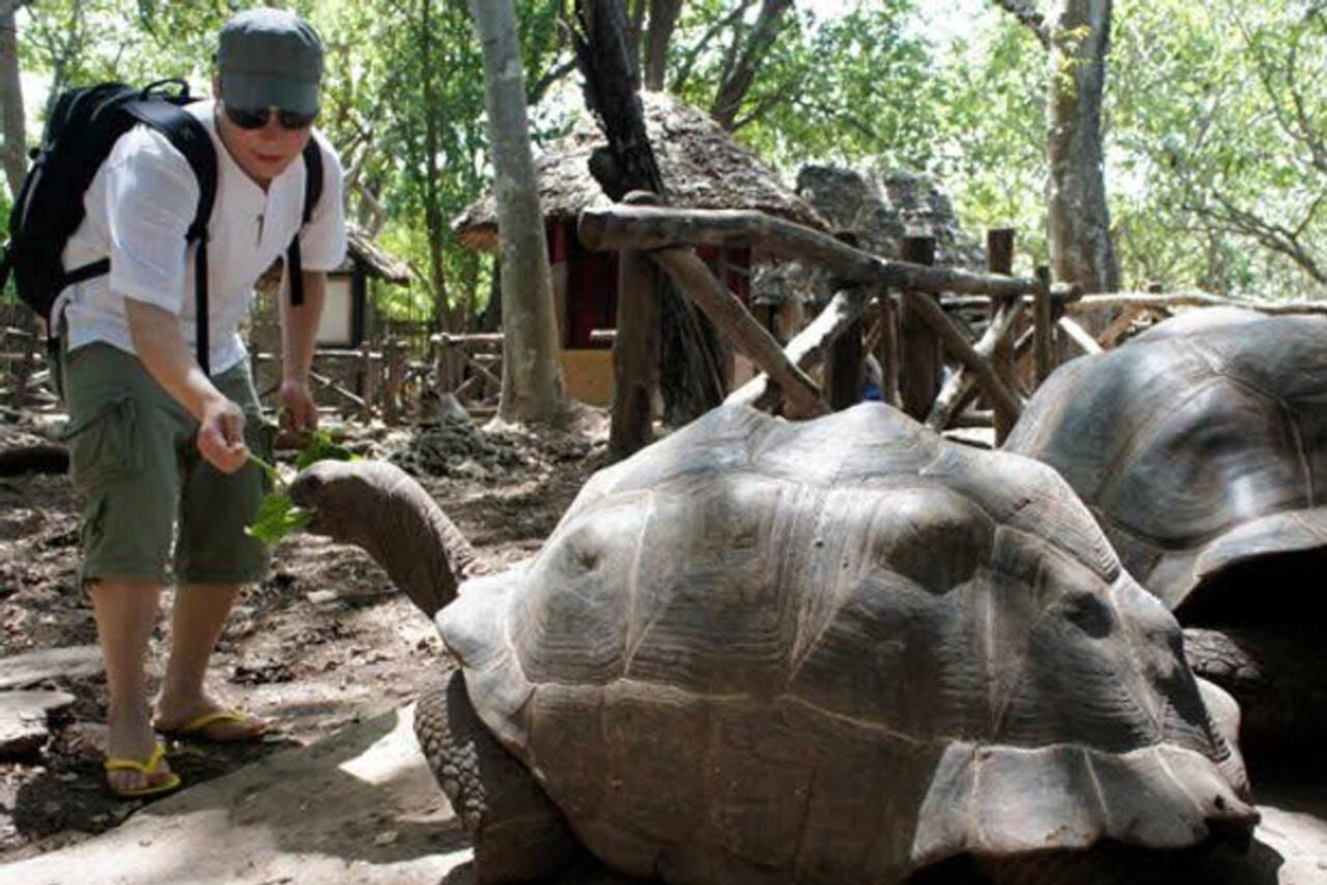 ザンジバル：スパイス農園、プリズン島、ストーンタウンのガイド付きツアーをご案内いたします