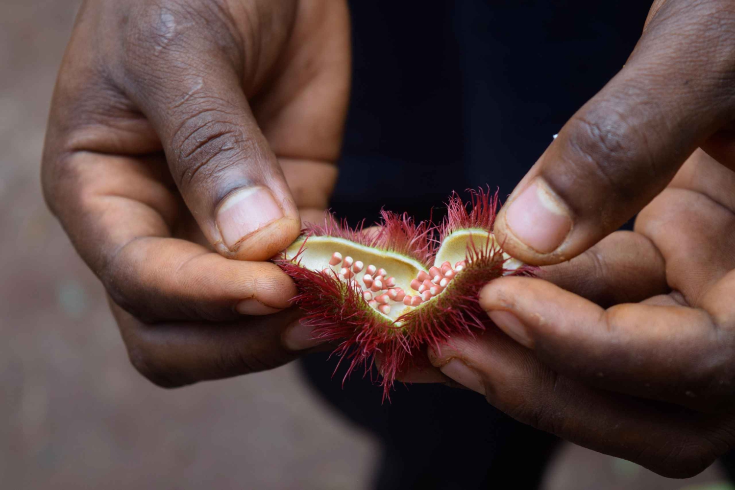 Zanzibar: wycieczka na farmę przypraw