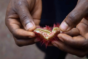 Zanzibar: wycieczka na farmę przypraw