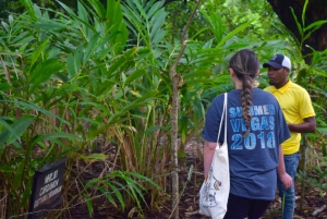 Zanzibar: wycieczka na farmę przypraw