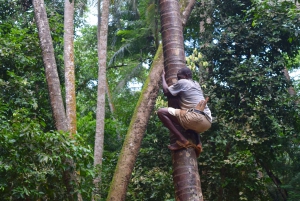 Zanzibar: wycieczka na farmę przypraw