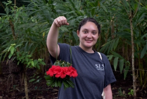 Zanzibar: wycieczka na farmę przypraw