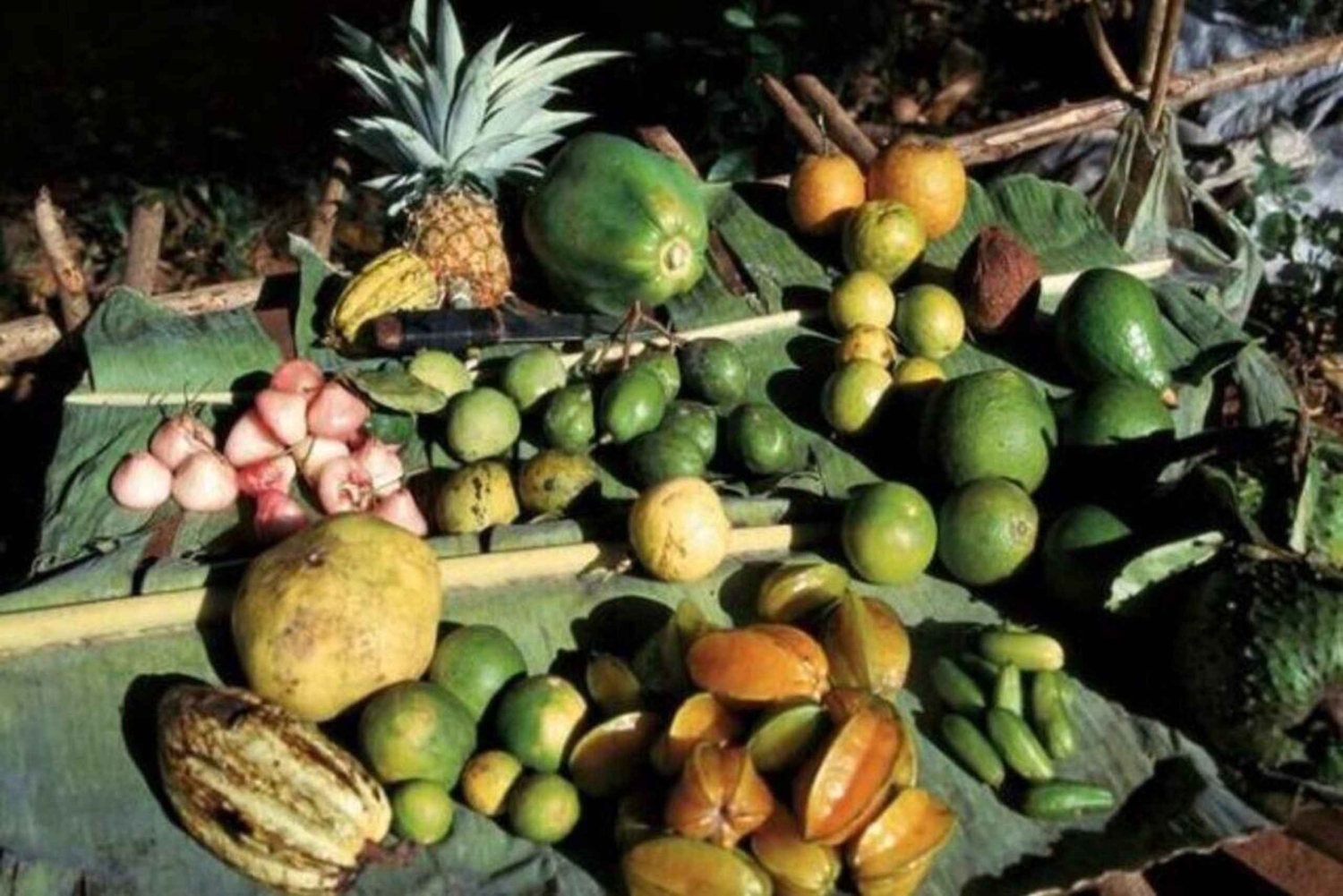 Zanzibar Spice Farm & Traditional Cooking glass Privat tur