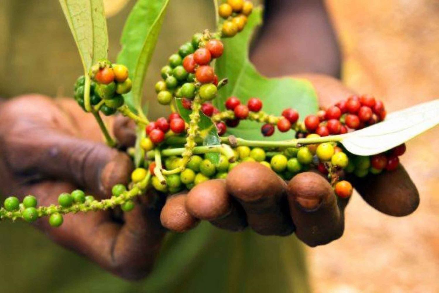 Занзибар: тур со специями, тур по Каменному городу и остров-тюрьма