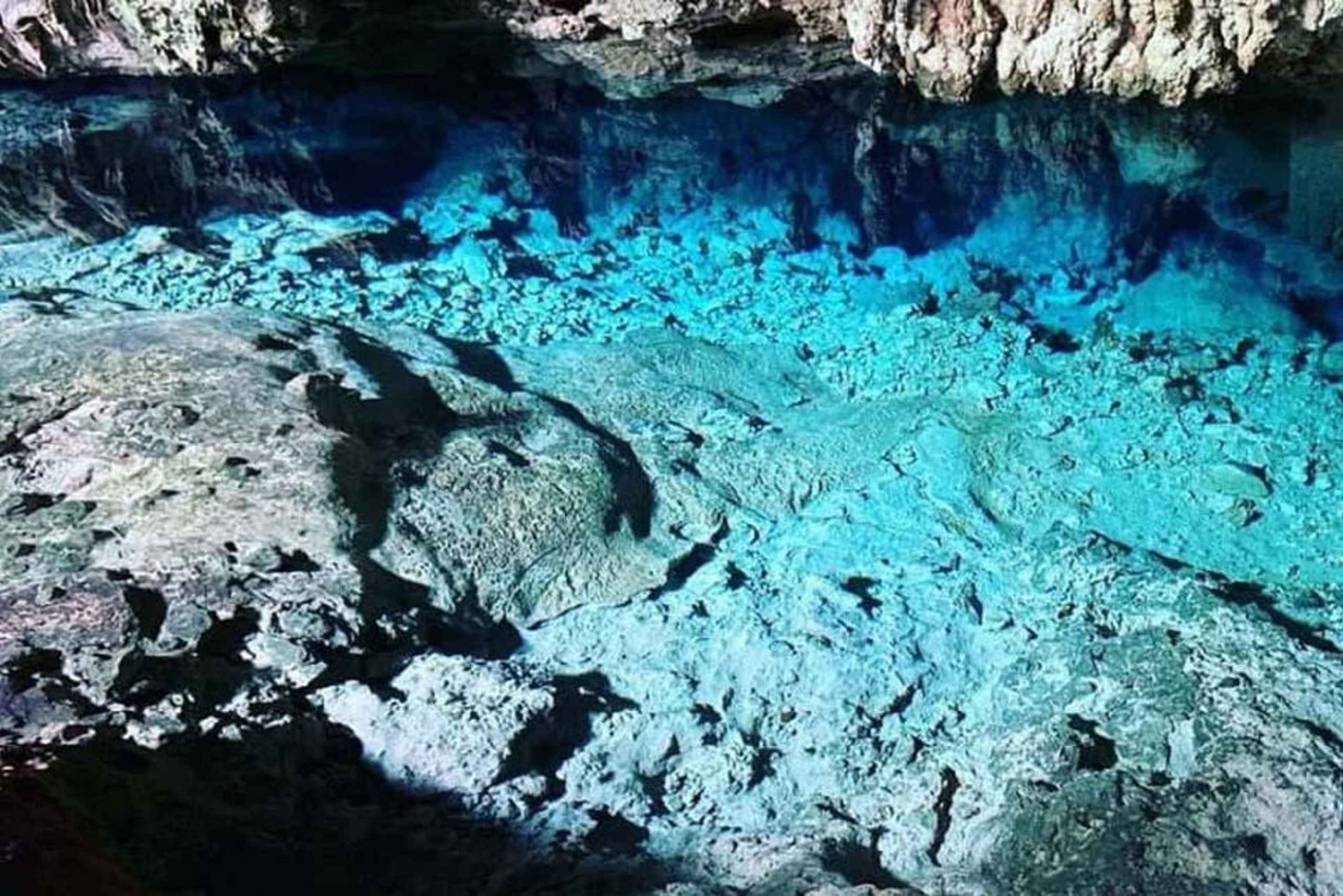 ザンジバルから：スターフィッシュ、ブルーラグーン、ザ・ロック・レストラン