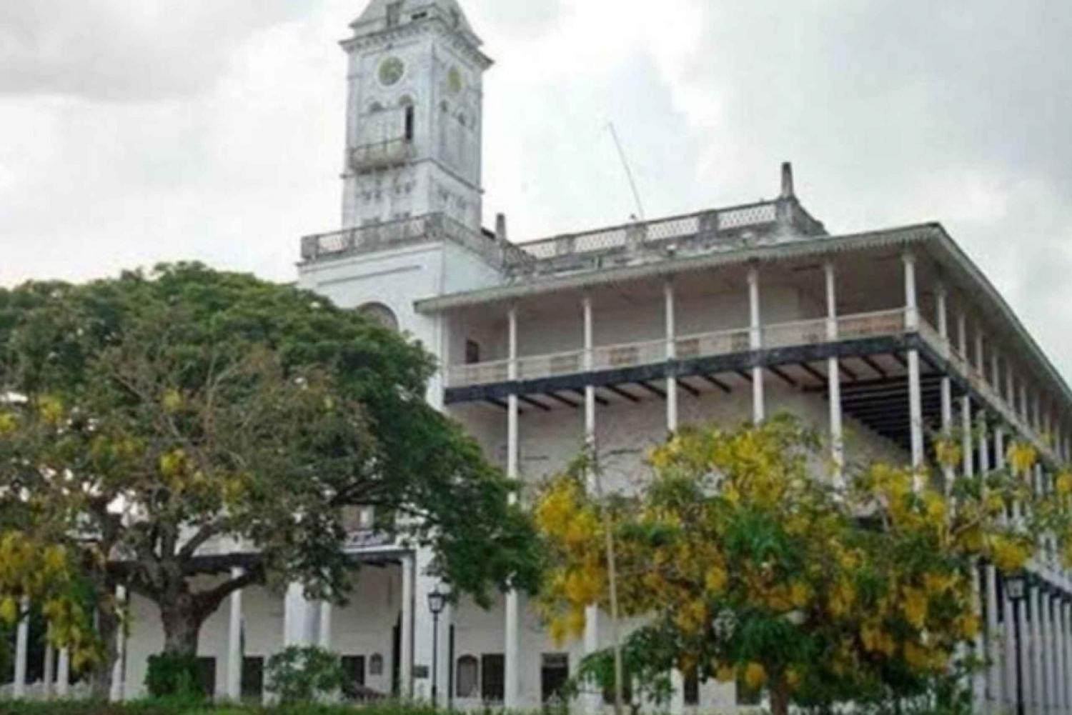 Zanzibar: Fängelseön, Jozani-skogen och Salaam-grottsköldpaddorna