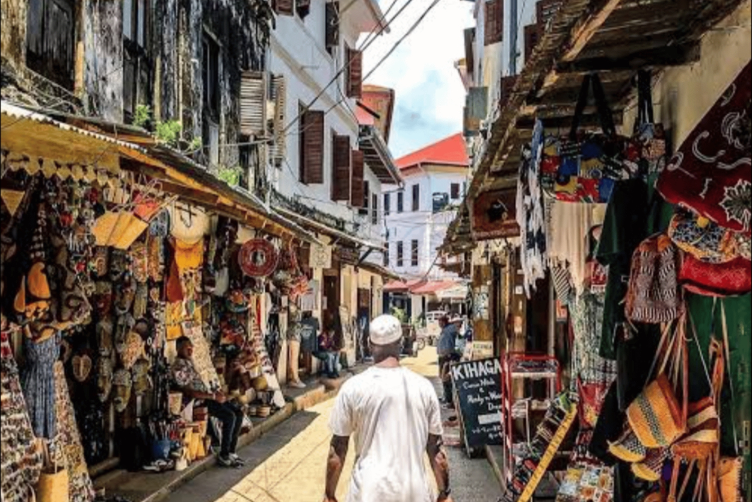 Zanzibar: Stone Town met gids en Prison Island