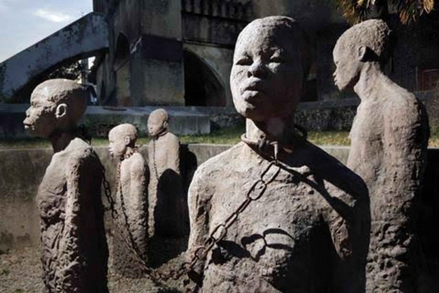 Zanzibar: Cidade de Pedra, Floresta de Jozani e mergulho com tartarugas