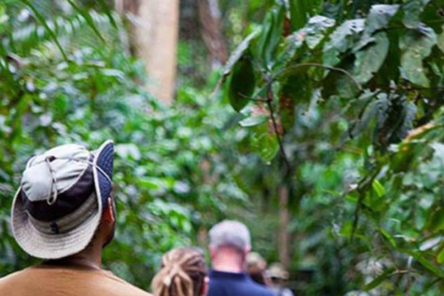 ザンジバル：ストーンタウン、プリズン・アイランド、ナクペンダ・サンドバンク