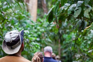 ZANZIBAR: Stone Town, Prison Island ja Nakupenda Sandbank