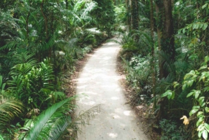 ZANZIBAR: Stone Town, Prison Island ja Nakupenda Sandbank