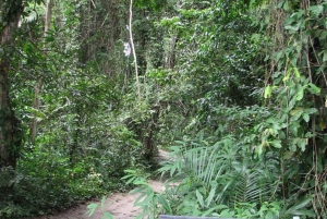ZANZIBAR: Stone Town, Prison Island ja Nakupenda Sandbank