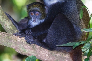 ZANZIBAR: Stone Town, Prison Island ja Nakupenda Sandbank