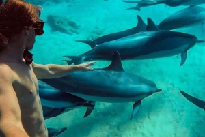 ZANZIBAR: Stone Town, Prison Island ja Nakupenda Sandbank