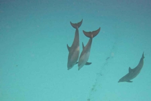 ZANZIBAR: Stone Town, Prison Island ja Nakupenda Sandbank