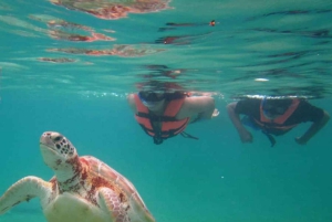 ZANZIBAR: Stone Town, Prison Island ja Nakupenda Sandbank