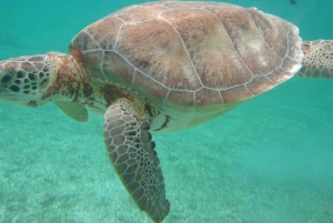 ZANZIBAR: Stone Town, Prison Island ja Nakupenda Sandbank