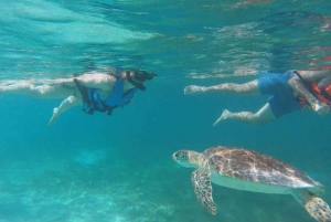 ZANZIBAR: Stone Town, Prison Island ja Nakupenda Sandbank