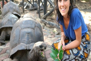 ZANZIBAR: Stone Town, Prison Island ja Nakupenda Sandbank