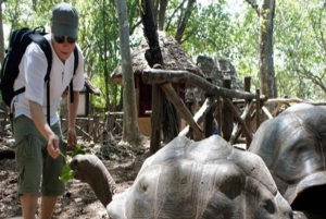 ZANZIBAR: Stone Town, Prison Island ja Nakupenda Sandbank