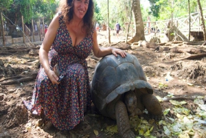 ZANZIBAR: Stone Town, Prison Island ja Nakupenda Sandbank