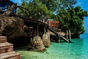 ZANZIBAR: Stone Town, Prison Island ja Nakupenda Sandbank