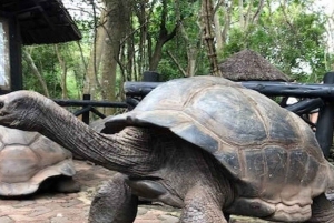 ZANZIBAR: Stone Town, Prison Island ja Nakupenda Sandbank