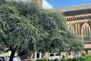 ZANZIBAR: Stone Town, Prison Island ja Nakupenda Sandbank