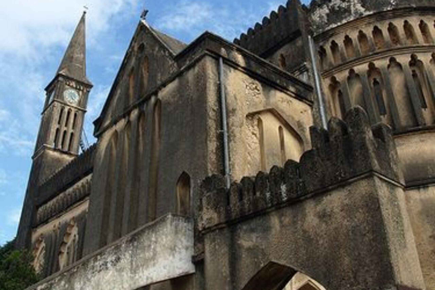 ZANZIBAR: STONE TOWN, PRISON ISLAND & SALAM CAVE Sea Turtles