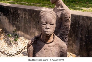 ZANZIBAR: STONE TOWN, PRISON ISLAND & SALAM CAVE Sea Turtles