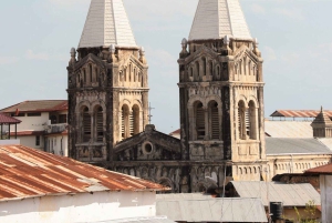 ZANZIBAR: STONE TOWN, PRISON ISLAND & SALAM CAVE Sea Turtles