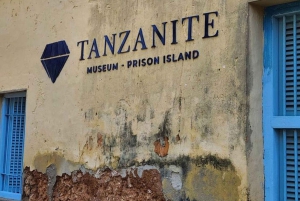 ZANZIBAR: STONE TOWN, PRISON ISLAND & SALAM CAVE Sea Turtles