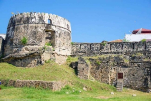 ZANZIBAR: STONE TOWN, PRISON ISLAND & SALAM CAVE Sea Turtles