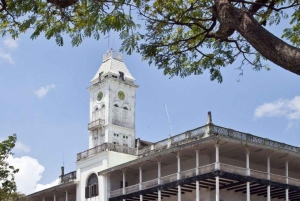 ZANZIBAR: STONE TOWN, PRISON ISLAND & SALAM CAVE Sea Turtles