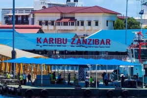 ZANZIBAR: STONE TOWN, PRISON ISLAND & SALAM CAVE Sea Turtles