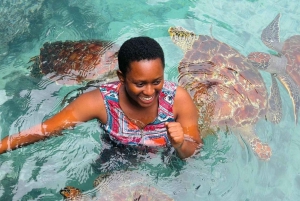 ZANZIBAR: STONE TOWN, PRISON ISLAND & SALAM CAVE Sea Turtles