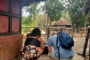 ZANZIBAR: STONE TOWN, PRISON ISLAND & SALAM CAVE Sea Turtles